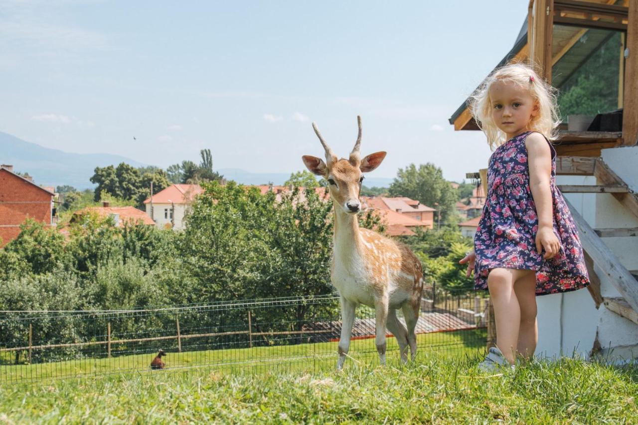 Tihiat Kut Complex Hotel Kyustendil Luaran gambar